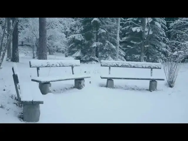 Video thumbnail for Park benches