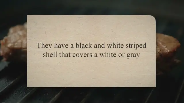 Video thumbnail for Can You Eat Sunflower Seed Shells? – Press To Cook