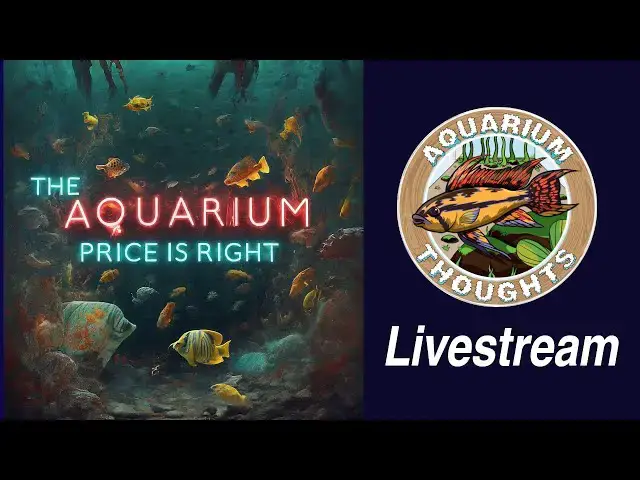 Video thumbnail for The Aquarium Price is Right - March 17, 2024