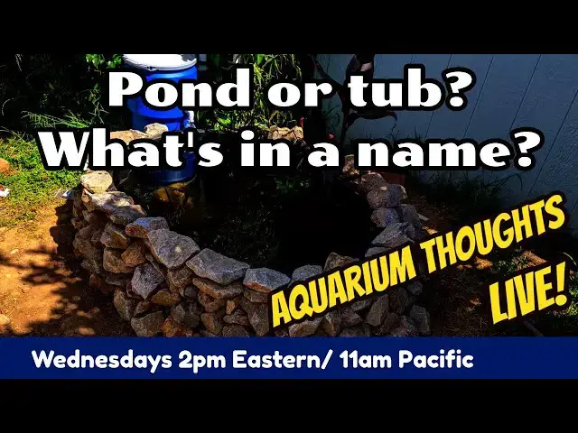 Video thumbnail for Pond vs Tub - What's in a name? - Aquarium Thoughts LIVE! $20-13