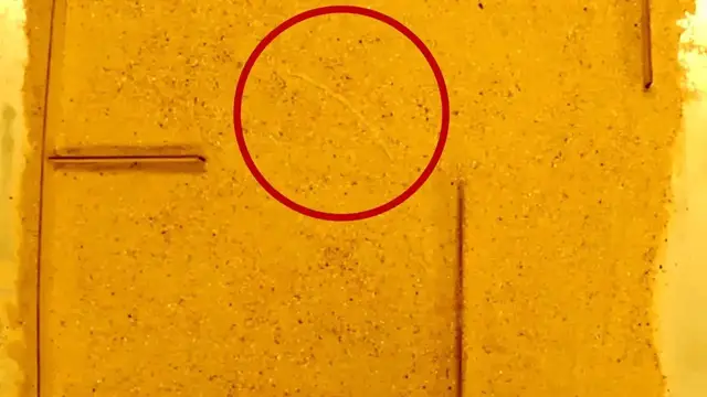 Video thumbnail for Meet the maze-navigating robot powered by physical intelligence