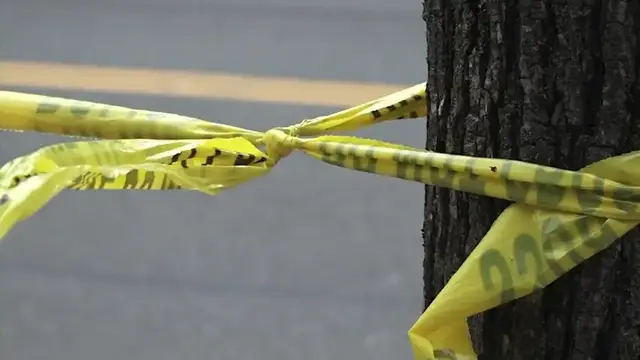 Video thumbnail for Bay Shore man pleads guilty to killing pedestrian in DWI hit-and-run