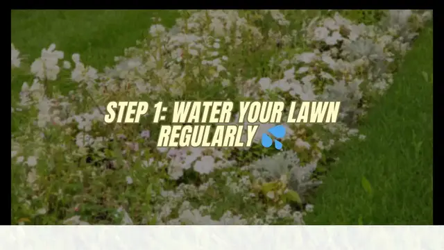 Video thumbnail for How to keep your lawn healthy All The Time