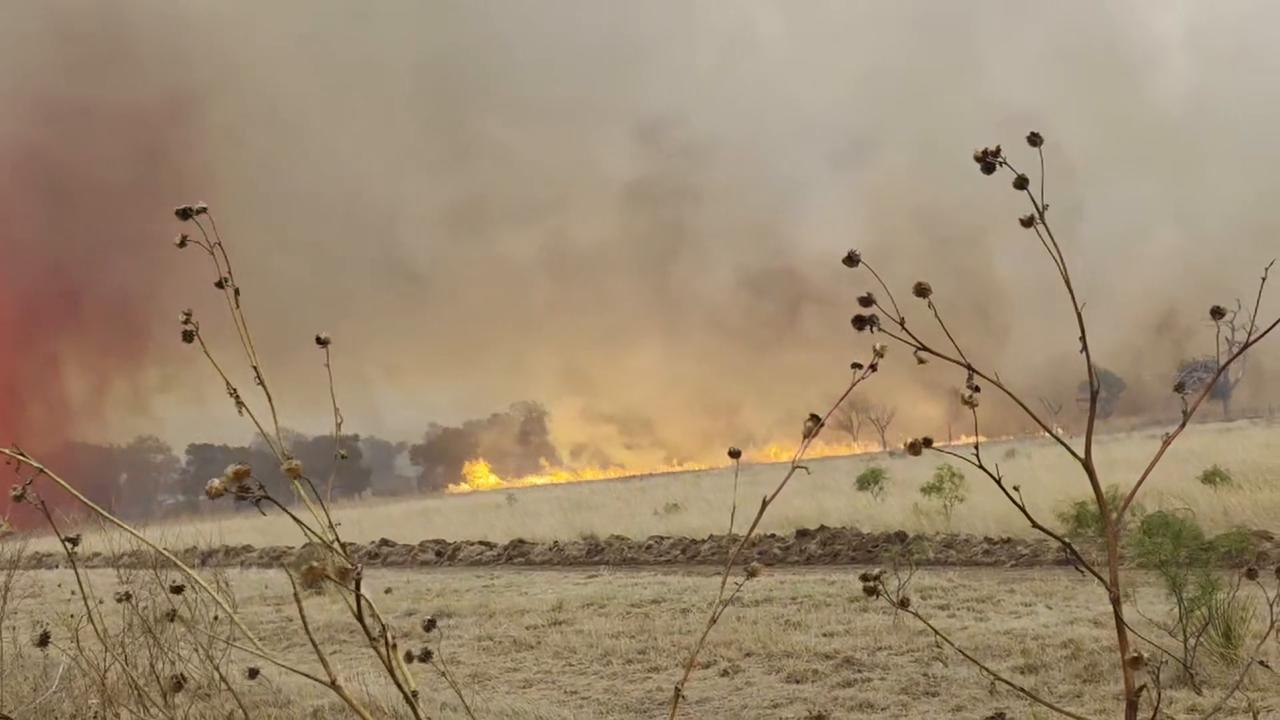 Video thumbnail for US: Lightning-Sparked Grass Fire Forces Evacuations in Canyon, Texas 3.