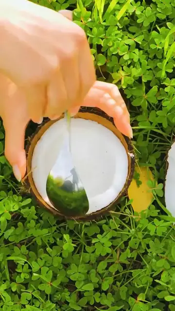 Video thumbnail for 10 incredible gardening tips to grow anything anywhere