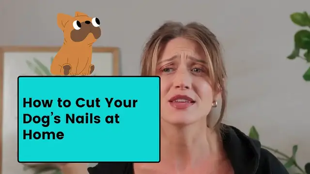 'Video thumbnail for Dog nail trimming'