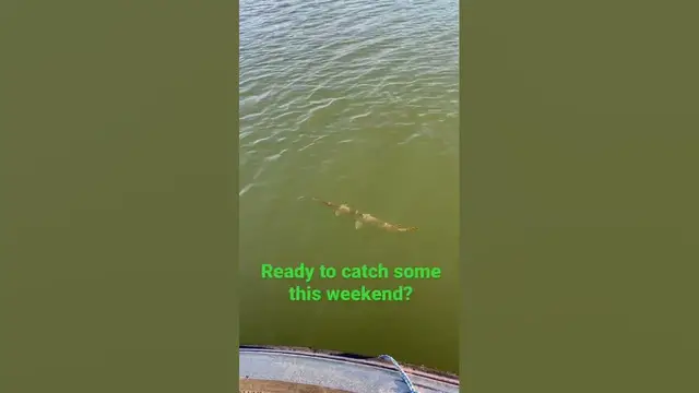 'Video thumbnail for Gar ain’t worried about a thing he knows the weekends here!'