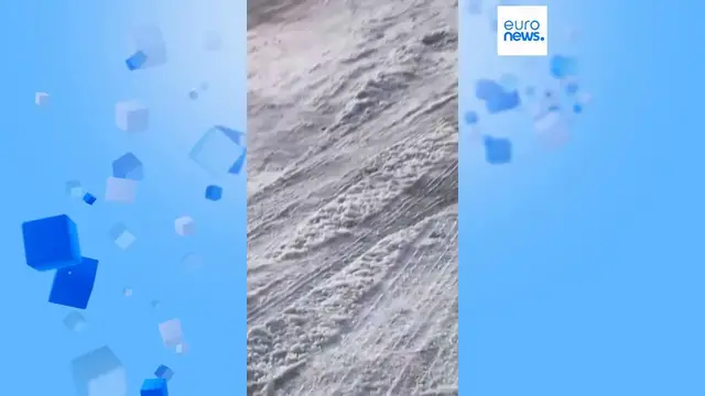 Video thumbnail for Minnesota protests erupt after ICE officer kills woman during raid