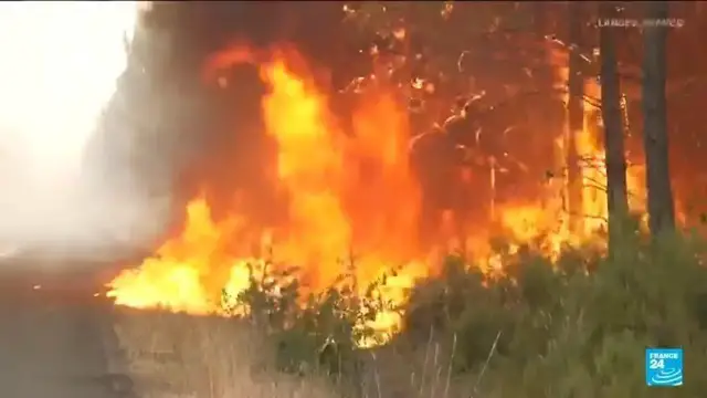 Video thumbnail for France: Why is the Southwest so vulnerable to wildfires?