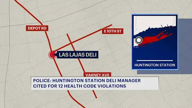 Video thumbnail for Police: Huntington Station deli hit with a dozen health code violations