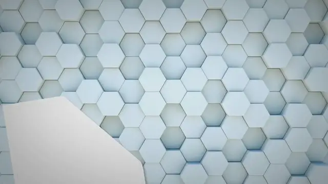 Video thumbnail for Biomass Unveiled: Discovering the Past, Present, and Future of Renewable Energy