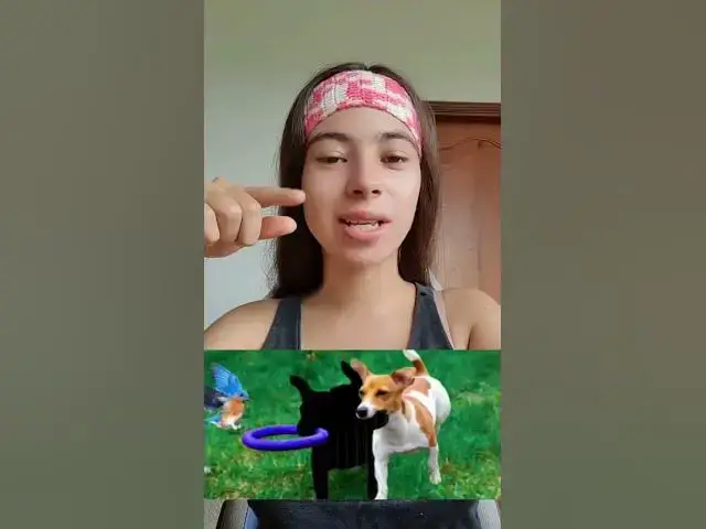 Video thumbnail for retos y desafíos para ti #viral #retos #entretenimientos  #desafíos