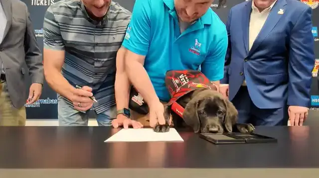 Video thumbnail for Red Bull New York unveils adorable new service dog puppy, Harrison