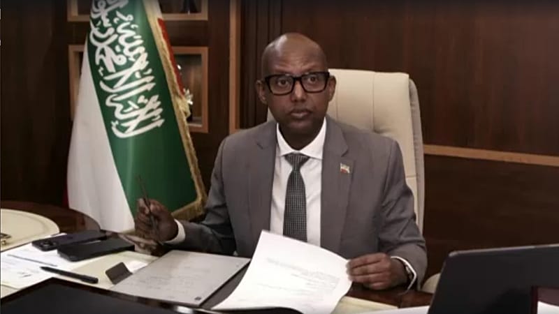 Video thumbnail for Somaliland offers US access to minerals as it pushes for recognition