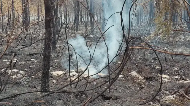Video thumbnail for France: Massive wildfire burns 42,000 hectares in Gironde, southwestern France.