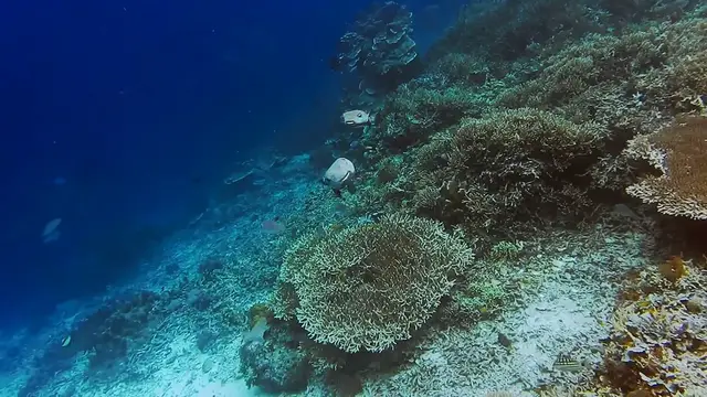 Video thumbnail for Minecraft Fishing Tips