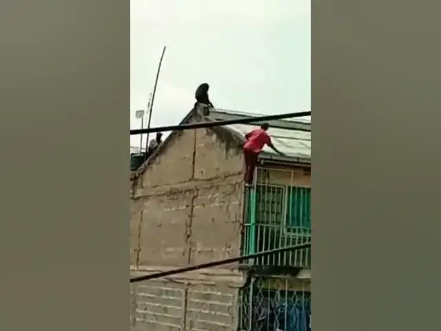 'Video thumbnail for Man escapes death after falling from 3rd floor building scared by a monkey'