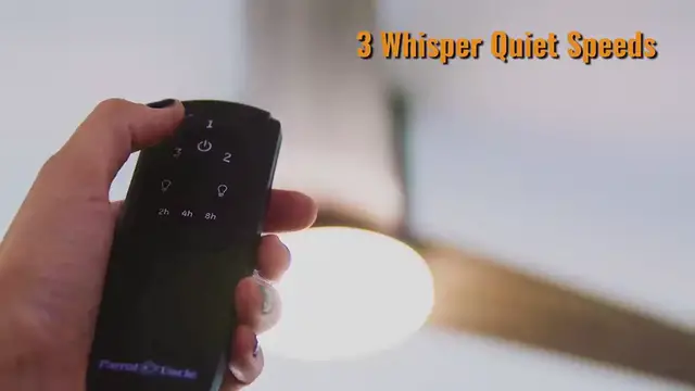 Video thumbnail for Kielah Traditional Ceiling Fan