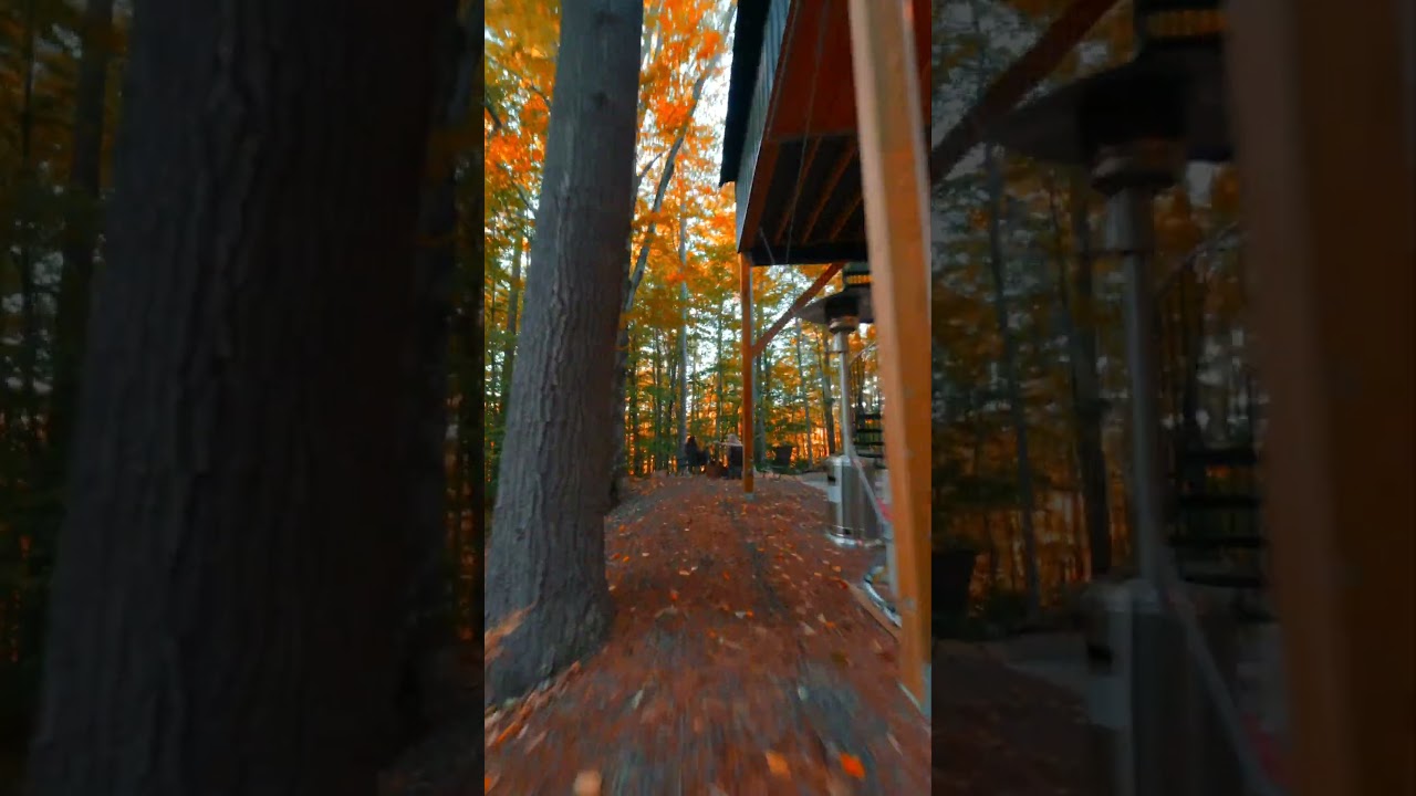 Video thumbnail for Is It Fall Yet?