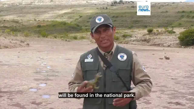 Video thumbnail for Safe from harm: Study reveals world record breaking dinosaur footprint park protected by mud