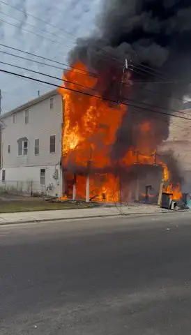 Video thumbnail for Firefighters rescue dog from house fire in Wildwood