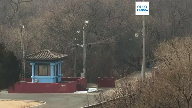 Video thumbnail for North Korean soldier suspected of defecting crosses demilitarised zone into South Korea