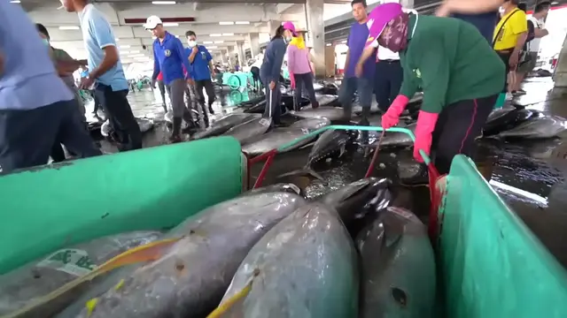 'Video thumbnail for Taiwanese Seafood Tour - CRAB ARMY + TUNA MADNESS in Donggang | BEST Street Food in Taiwan'