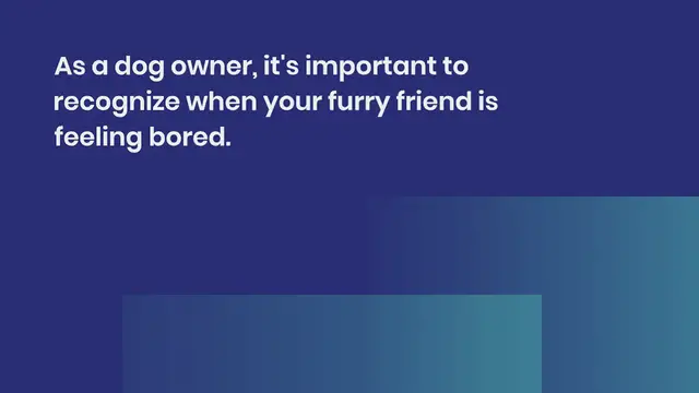 Video thumbnail for 5 signs that your dog is bored