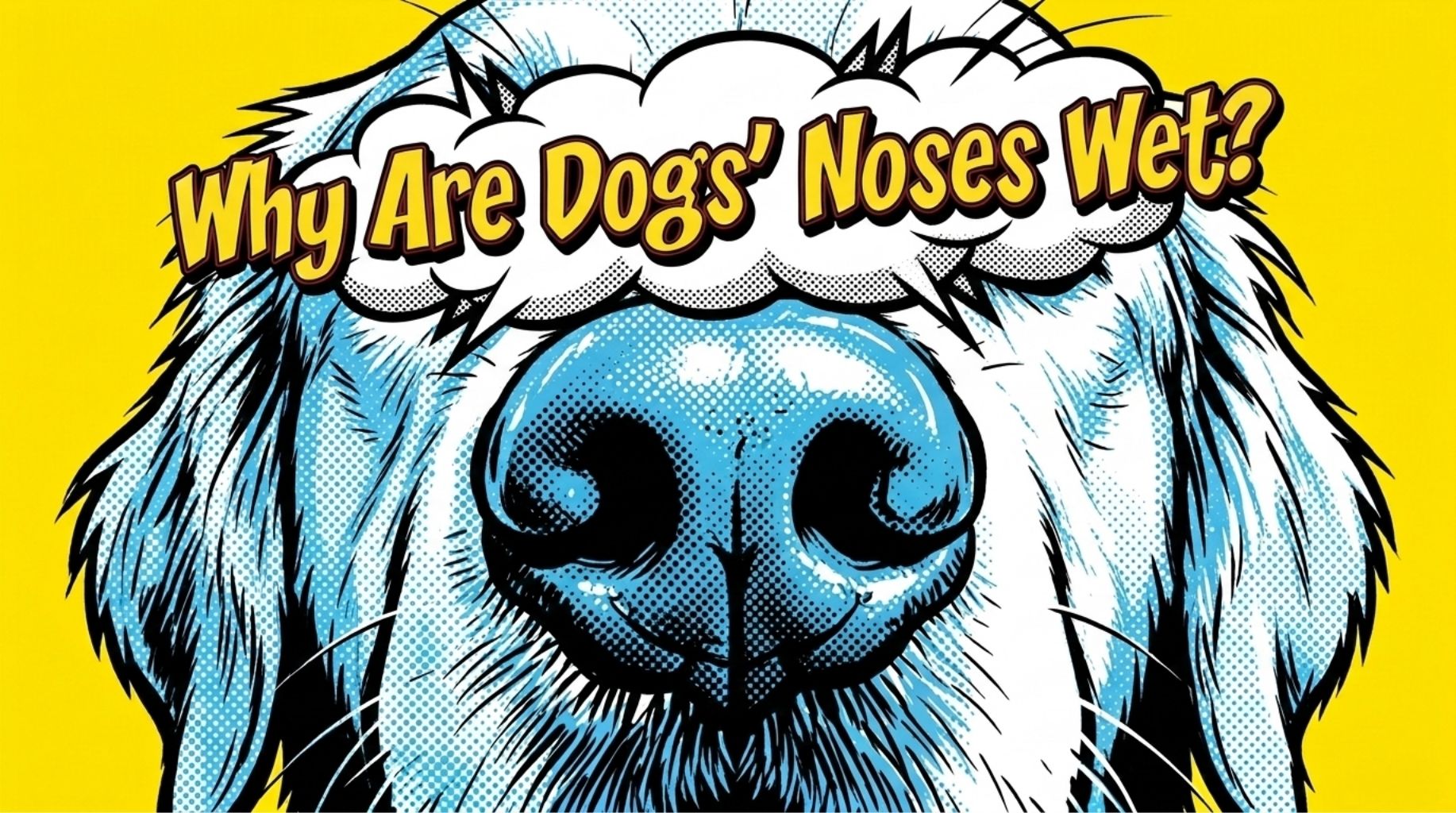 Video thumbnail for Why Are Dogs Noses Wet?