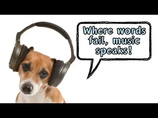 Video thumbnail for Do Dogs Like Music by Doggozila Magazine
