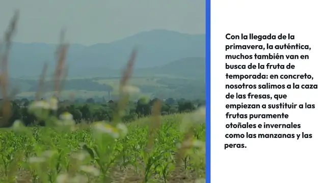 Video thumbnail for Fresas llenas de gusanos e insectos: cómo desinfectarlas fácilmente sin coste alguno