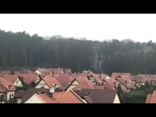 Video thumbnail for Pożar lasu w Zielonej Górze. Na miejscu jest straż pożarna