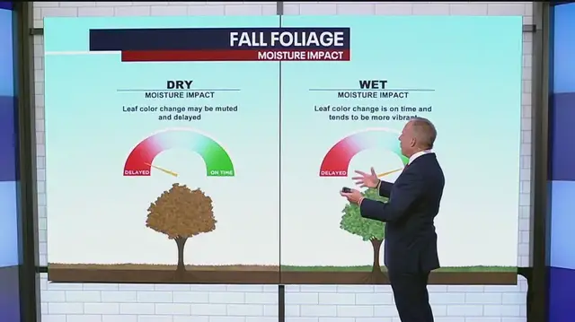 'Video thumbnail for NYC weather: Fall, winter outlook'