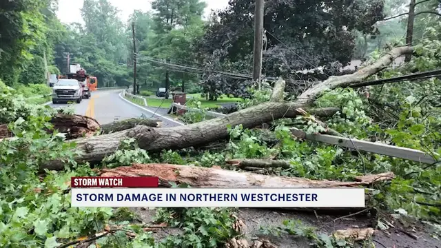 Video thumbnail for Fast-moving storms bring destruction on the roads in Northern Westchester