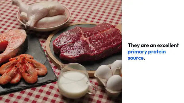 Video thumbnail for Eggs Nutritional Powerhouse Explained