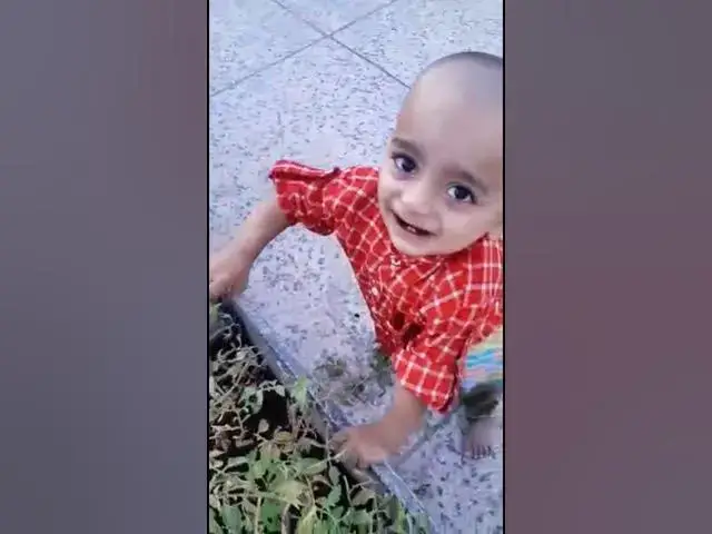 Video thumbnail for SOIL TEST BY POTA JEE