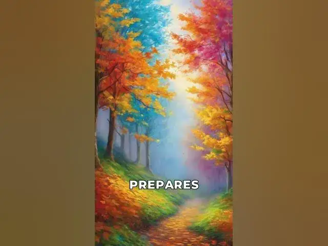 Video thumbnail for Embracing the Magic of the Autumn Equinox