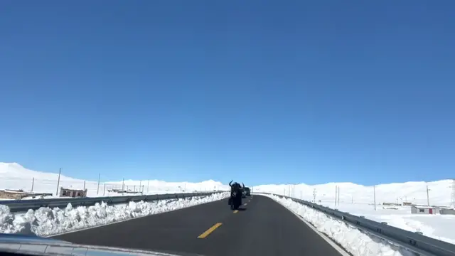 Video thumbnail for Yak Blocks Car and Jumps Over Guardrail on Tibetan Mountain Road