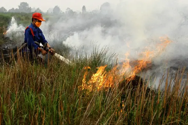 Video thumbnail for Singapore haze: Indonesia fires trigger dangerous levels of pollution