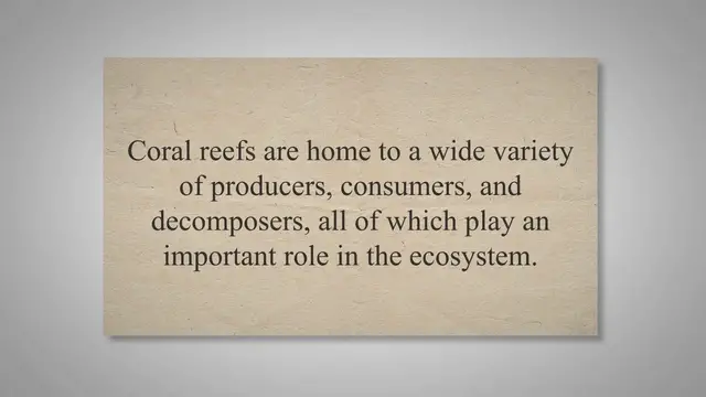 Video thumbnail for Coral Reef Food Chain: A Complete Guide to the Producers, Consumers, and Decomposers