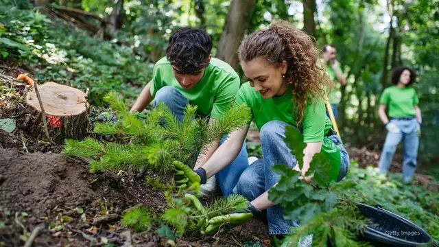 'Video thumbnail for AT&T teams up with Arbor Day Foundation to heal Calif. wildfire scars'