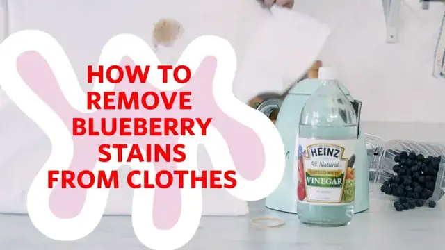 'Video thumbnail for How to Remove Blueberry Stains from Clothes'