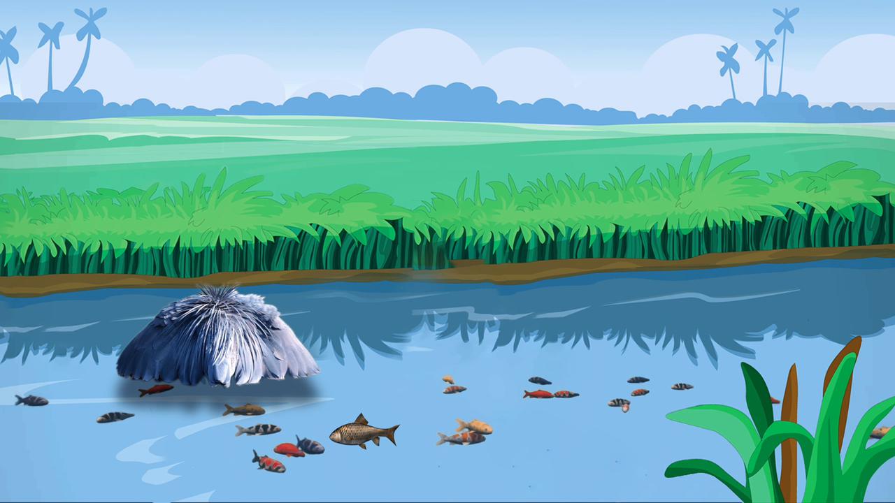 Video thumbnail for Super Animals -- Black Heron