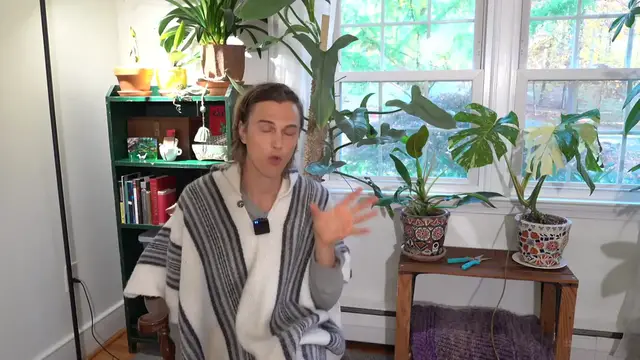 Video thumbnail for This is How to Fertilize Houseplants - How Much, How Often & What to Fertilize Indoor Plants