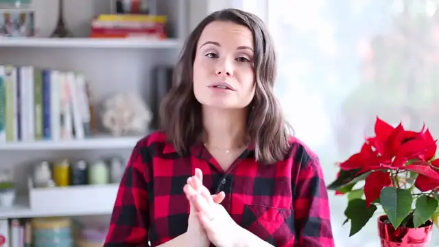 'Video thumbnail for 3 VEGAN LUNCH IDEAS UNDER  1.50   Collab w Mind Over Munch(720P HD)'