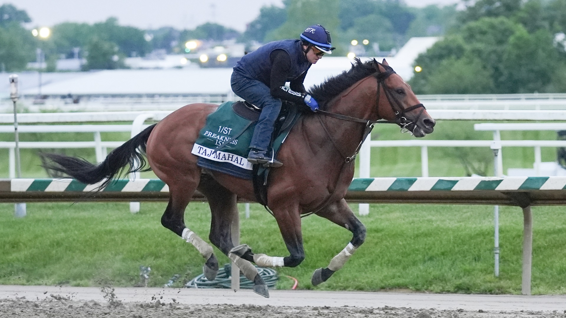 Video thumbnail for Preakness Stakes Preview: Robert Forbeck's Betting Picks