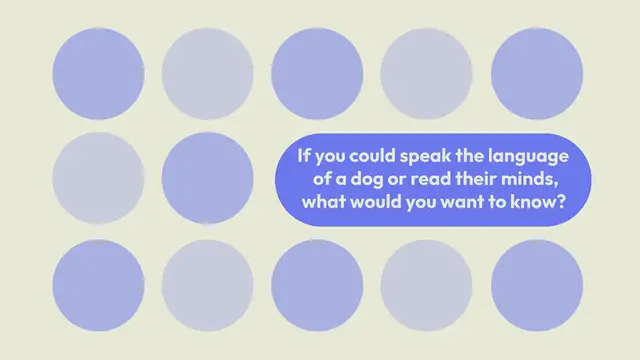 Video thumbnail for Do dogs smile and laugh?