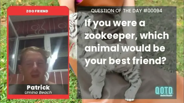 Video thumbnail for See you later, alligators! Patrick is chillin' with the crocodiles!