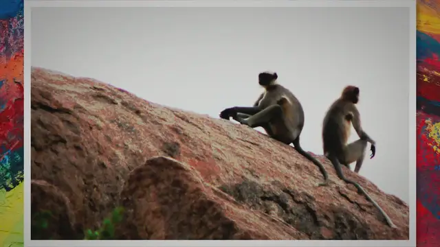 Video thumbnail for Ten Most Influential Philosophers in History