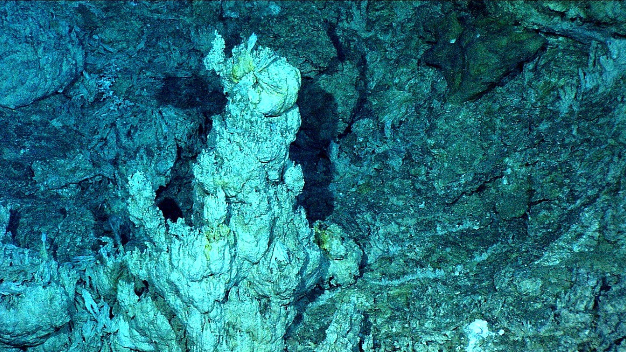 Video thumbnail for A closer look at the ocean's Lost City and life beyond Earth